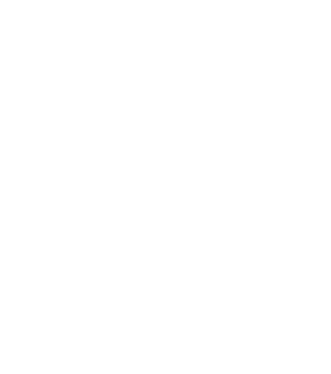 Steam